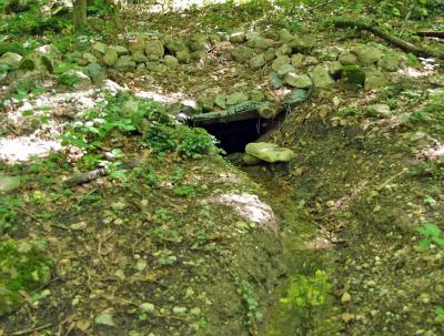 Прикрепленное изображение: IMGP6613.jpg